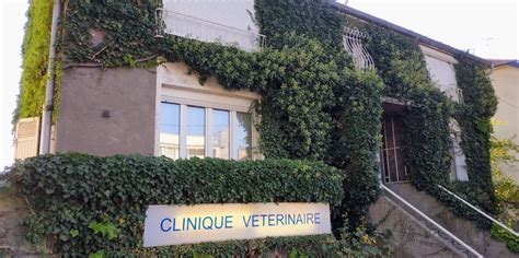 vtrinaire metz pas cher|Clinique vétérinaire Metz (57000)